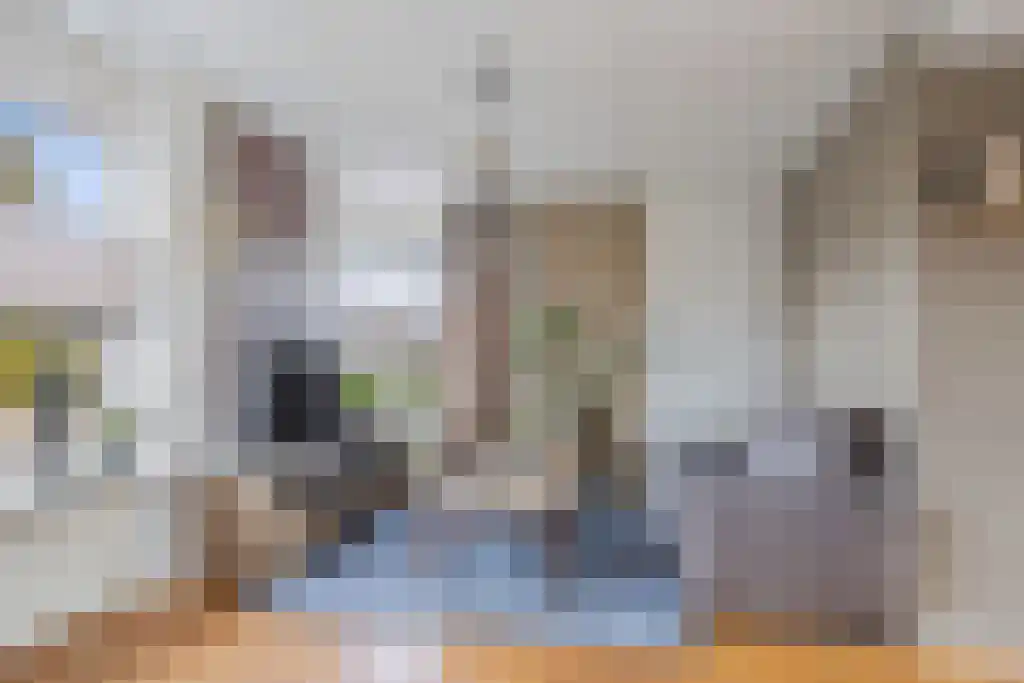 Meekhofsveen 1 Appelscha thumbnail 9