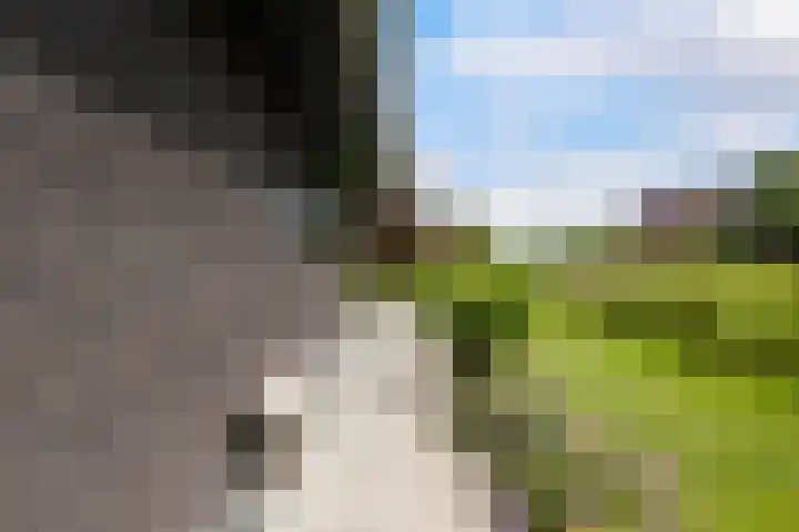Meekmastrjitte 21 Broeksterwâld thumbnail 10