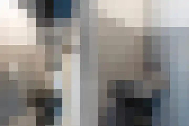 Meekmastrjitte 21 Broeksterwâld thumbnail 15