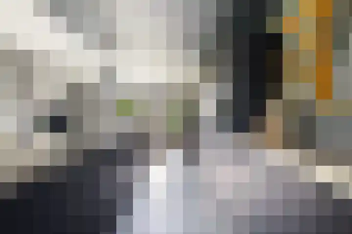 Meekmastrjitte 21 Broeksterwâld thumbnail 24