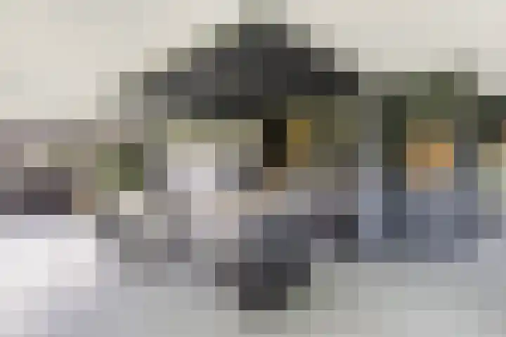 Meekmastrjitte 21 Broeksterwâld thumbnail 25