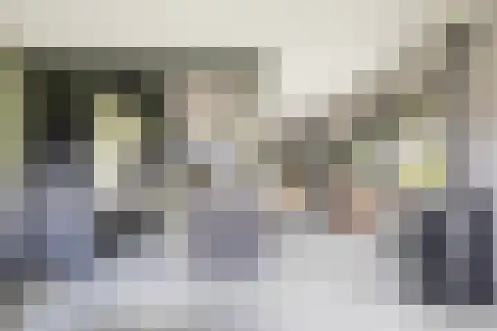 Meekmastrjitte 21 Broeksterwâld thumbnail 26