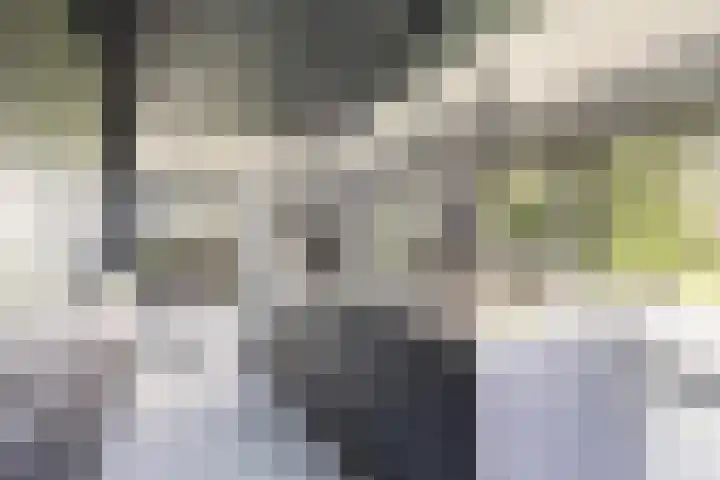 Meekmastrjitte 21 Broeksterwâld thumbnail 27