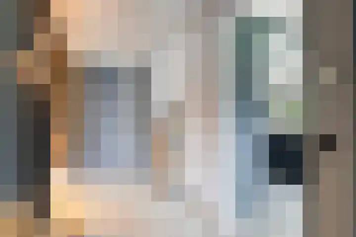 Meekmastrjitte 21 Broeksterwâld thumbnail 28