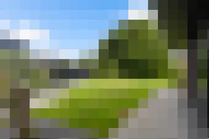 Meekmastrjitte 21 Broeksterwâld thumbnail 31