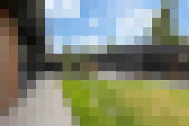 Meekmastrjitte 21 Broeksterwâld thumbnail 33
