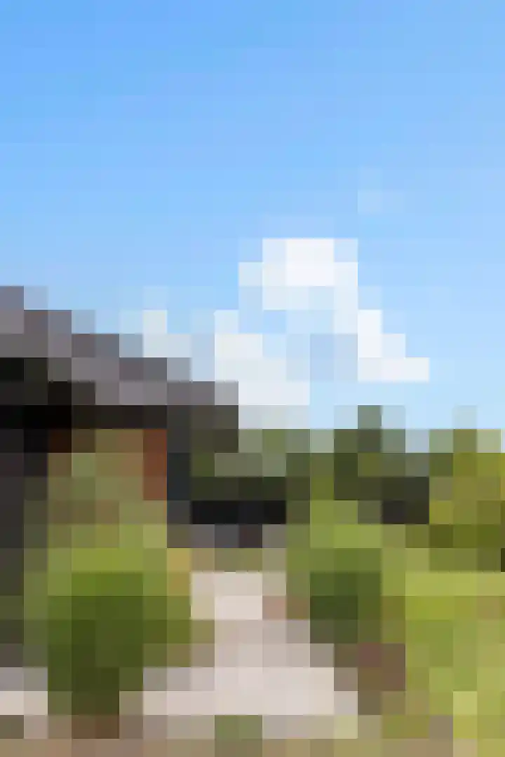 Meekmastrjitte 21 Broeksterwâld thumbnail 35