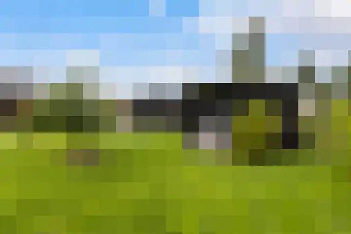 Meekmastrjitte 21 Broeksterwâld thumbnail 38