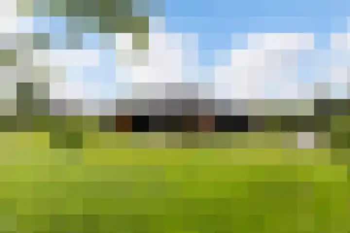 Meekmastrjitte 21 Broeksterwâld thumbnail 39