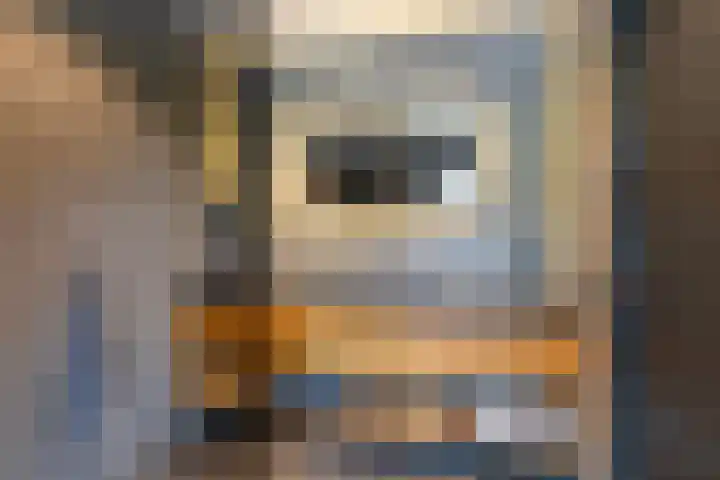 Meekmastrjitte 21 Broeksterwâld thumbnail 4