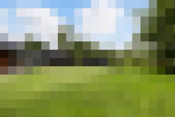 Meekmastrjitte 21 Broeksterwâld thumbnail 40