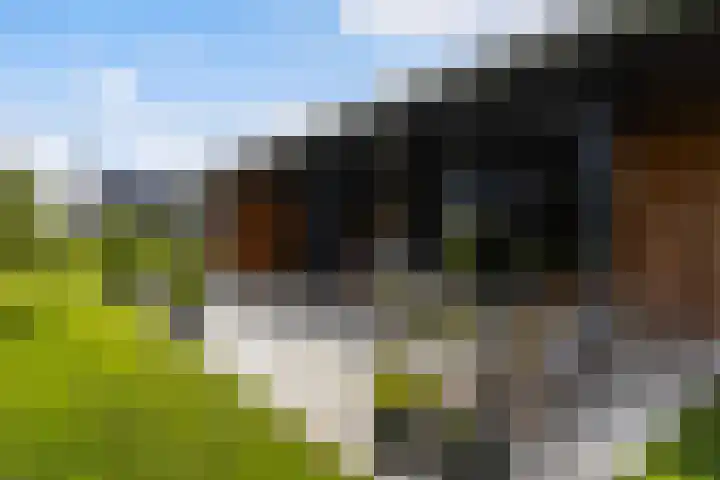 Meekmastrjitte 21 Broeksterwâld thumbnail 42