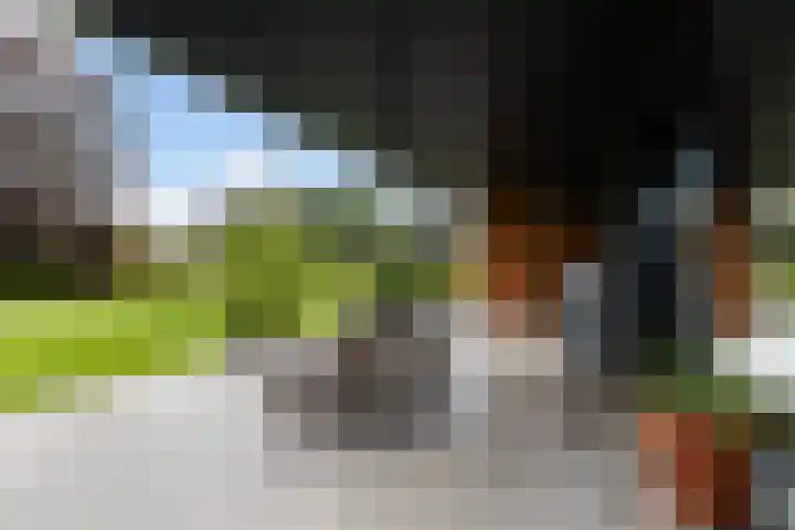 Meekmastrjitte 21 Broeksterwâld thumbnail 43
