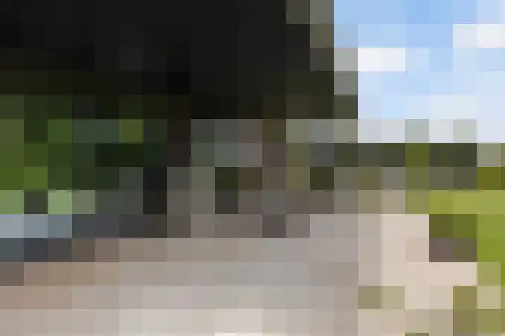 Meekmastrjitte 21 Broeksterwâld thumbnail 44