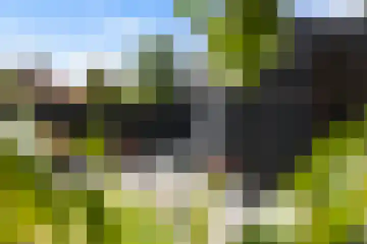 Meekmastrjitte 21 Broeksterwâld thumbnail 45