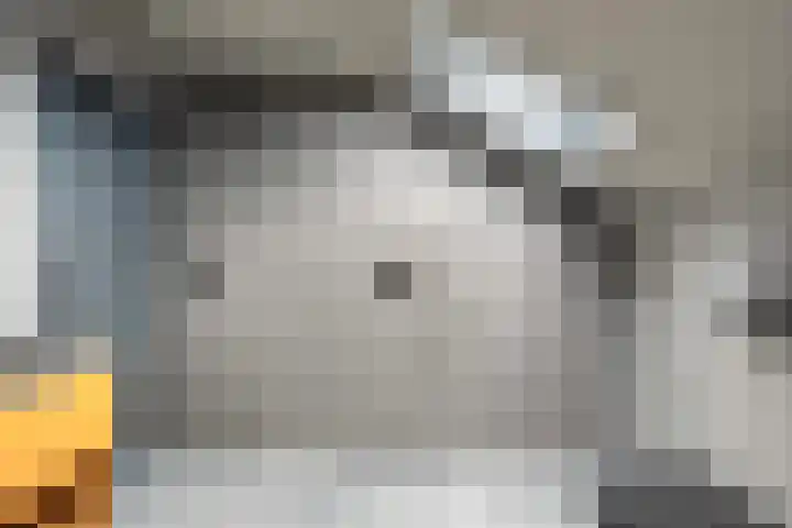 Meekmastrjitte 21 Broeksterwâld thumbnail 48