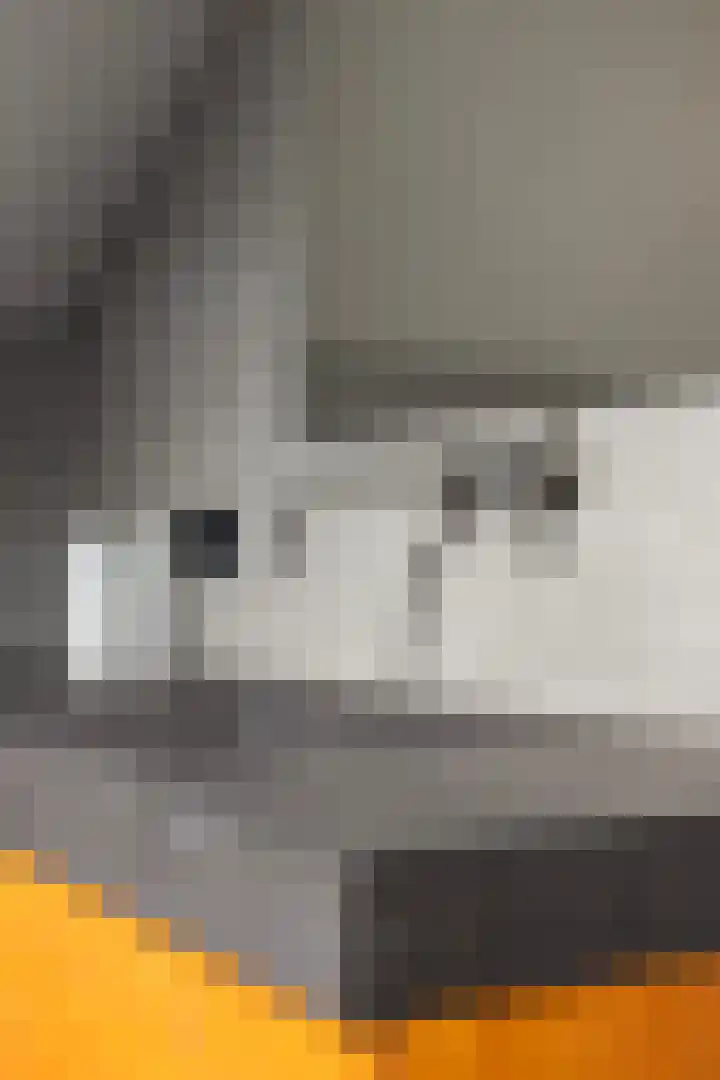 Meekmastrjitte 21 Broeksterwâld thumbnail 49