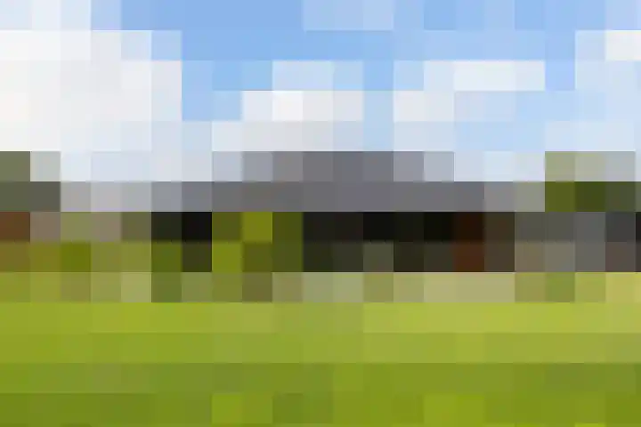 Meekmastrjitte 21 Broeksterwâld thumbnail 5