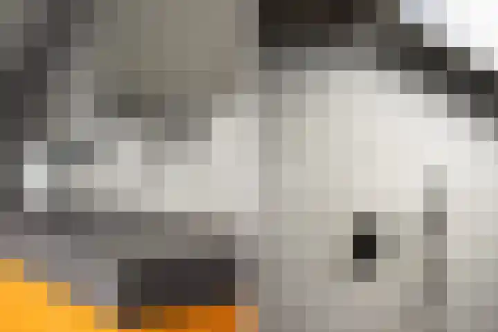 Meekmastrjitte 21 Broeksterwâld thumbnail 50