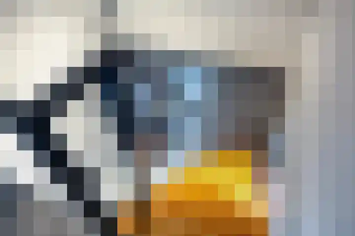 Meekmastrjitte 21 Broeksterwâld thumbnail 52