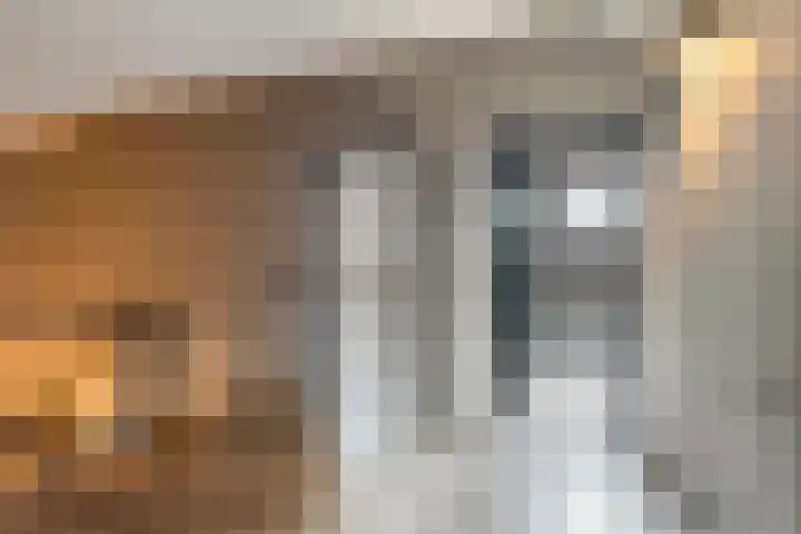 Meekmastrjitte 21 Broeksterwâld thumbnail 53