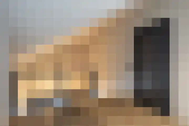 Meekmastrjitte 21 Broeksterwâld thumbnail 54