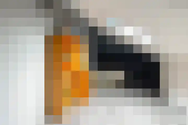 Meekmastrjitte 21 Broeksterwâld thumbnail 57