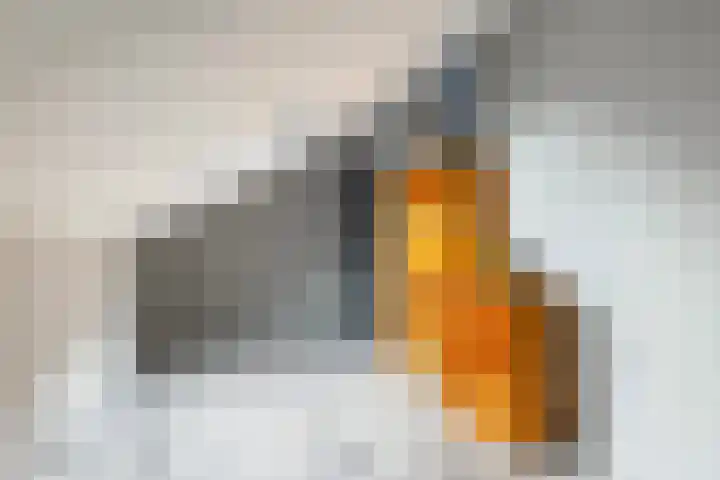 Meekmastrjitte 21 Broeksterwâld thumbnail 58