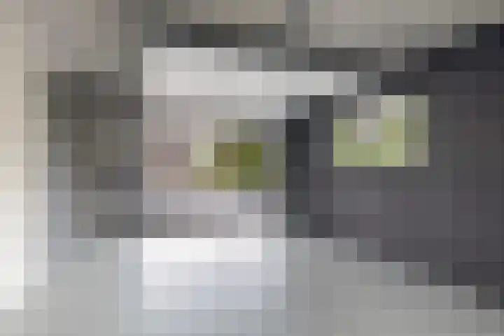 Meekmastrjitte 21 Broeksterwâld thumbnail 66