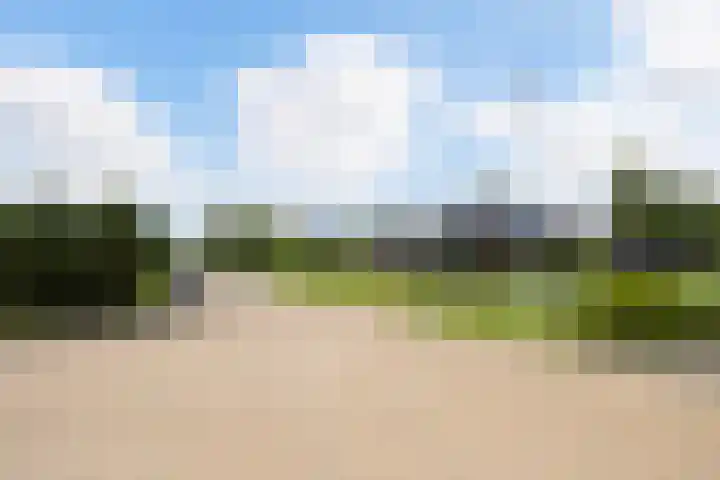 Meekmastrjitte 21 Broeksterwâld thumbnail 7