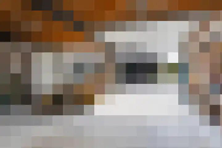 Meekmastrjitte 21 Broeksterwâld thumbnail 70