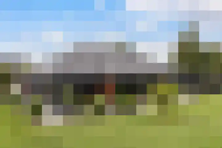 Meekmastrjitte 21 Broeksterwâld thumbnail 72