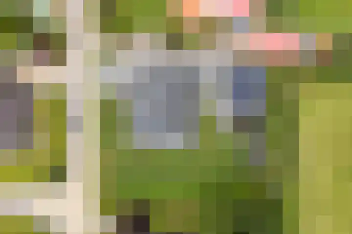 Meekmastrjitte 21 Broeksterwâld thumbnail 73