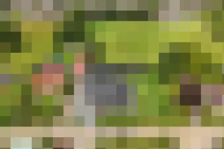 Meekmastrjitte 21 Broeksterwâld thumbnail 74