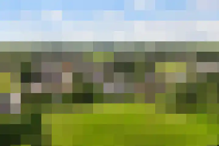 Meekmastrjitte 21 Broeksterwâld thumbnail 75