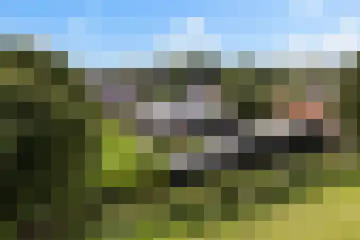 Meekmastrjitte 21 Broeksterwâld thumbnail 76