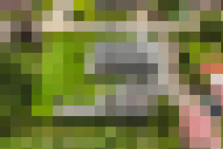 Meekmastrjitte 21 Broeksterwâld thumbnail 77