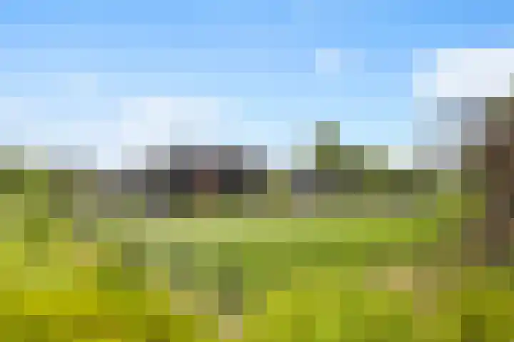 Meekmastrjitte 21 Broeksterwâld thumbnail 8