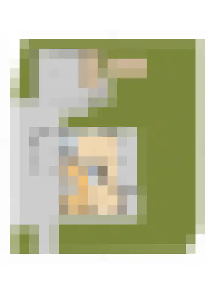Meekmastrjitte 21 Broeksterwâld thumbnail 81