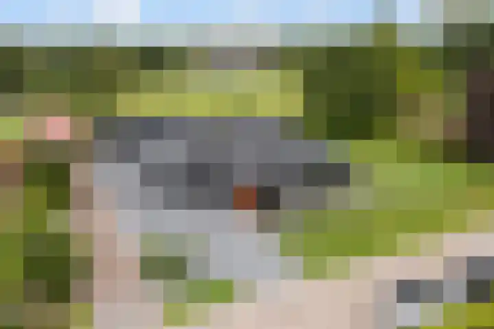 Meekmastrjitte 21 Broeksterwâld thumbnail 83