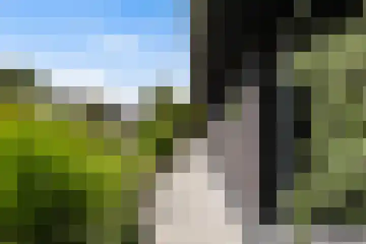 Meekmastrjitte 21 Broeksterwâld thumbnail 9