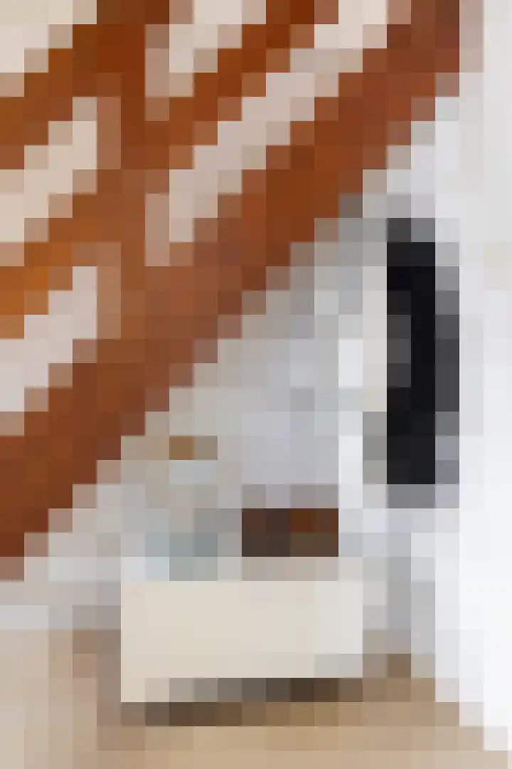 Meekmastrjitte 23 Broeksterwâld thumbnail 14