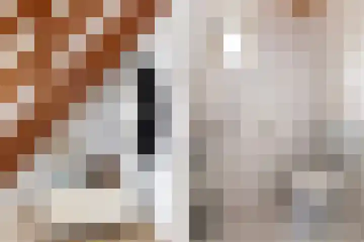 Meekmastrjitte 23 Broeksterwâld thumbnail 15