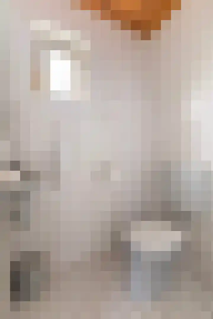 Meekmastrjitte 23 Broeksterwâld thumbnail 16
