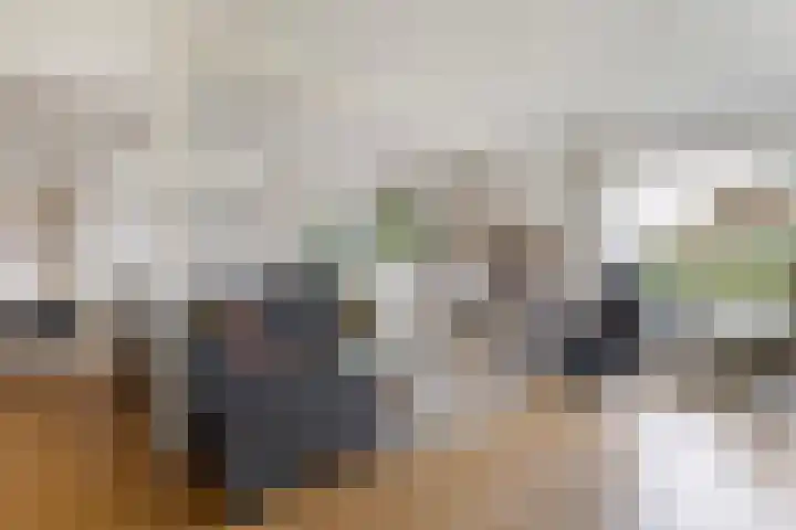 Meekmastrjitte 23 Broeksterwâld thumbnail 19