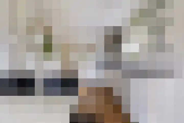 Meekmastrjitte 23 Broeksterwâld thumbnail 26