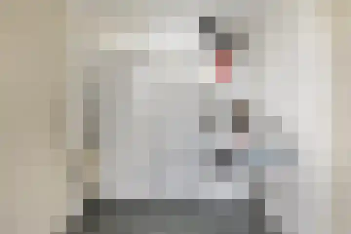 Meekmastrjitte 23 Broeksterwâld thumbnail 28