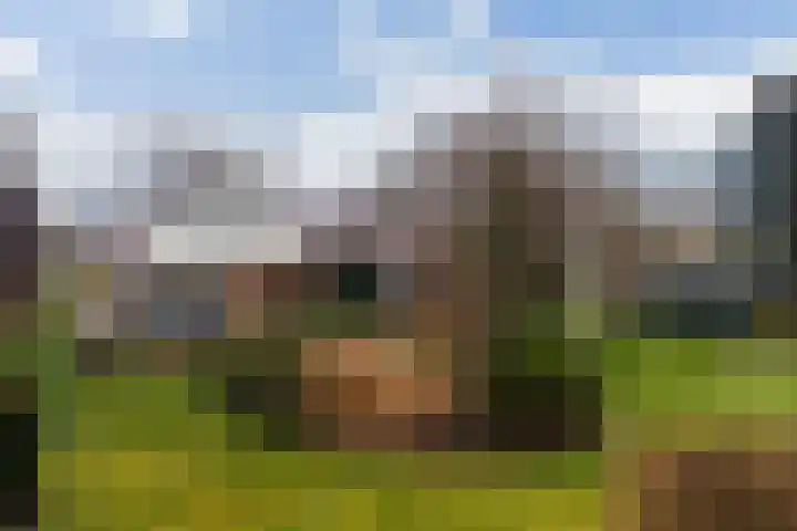 Meekmastrjitte 23 Broeksterwâld foto 3