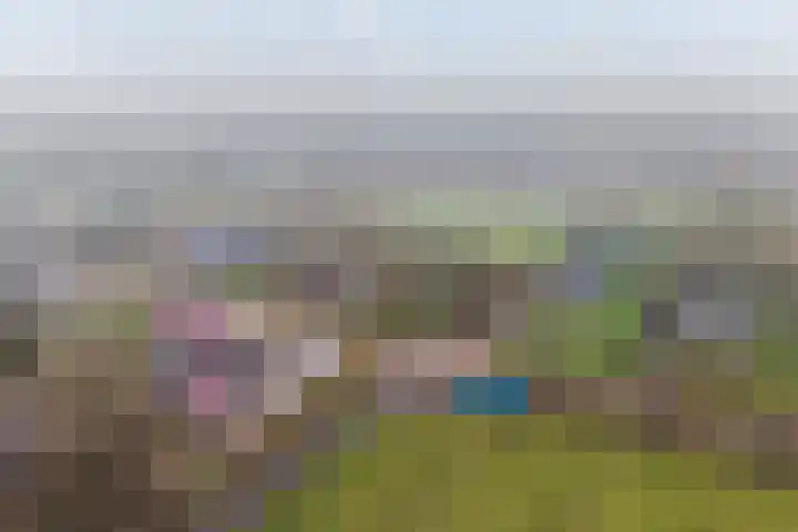 Meekmastrjitte 23 Broeksterwâld thumbnail 4