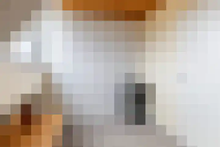 Meekmastrjitte 23 Broeksterwâld thumbnail 40